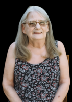 Patti Lou Anderson